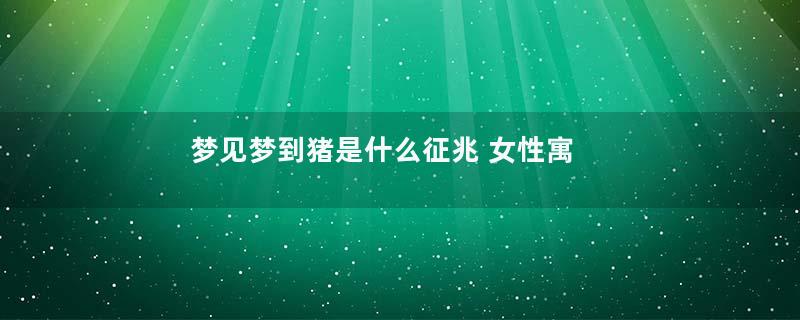 梦见梦到猪是什么征兆 女性寓意着什么意思